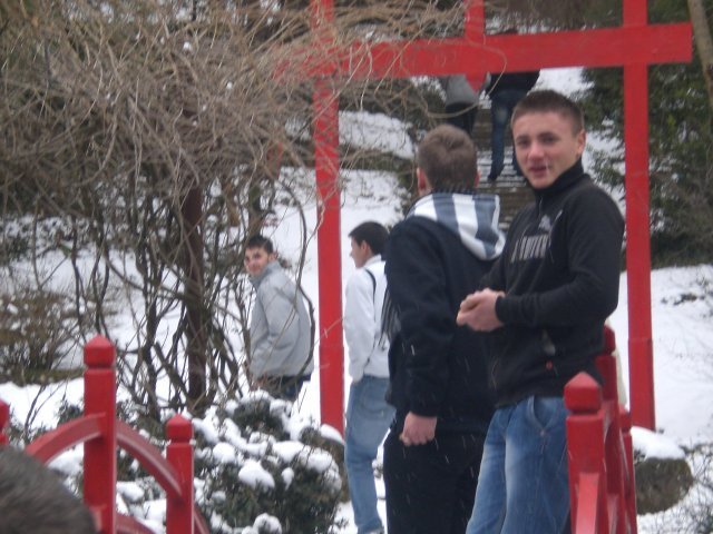 APLICATIE PRACTICA-EXCURSIE 2010